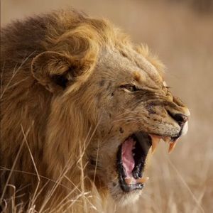 Meet your Posher, Terence